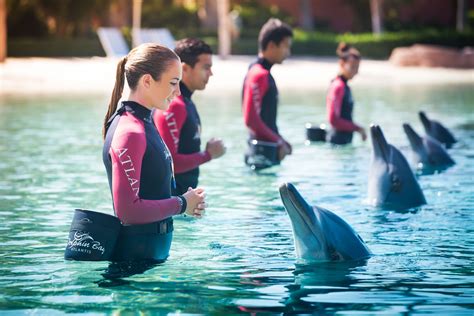Jogue Dolphin Bay online